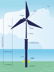 dem___20-10___infographic_collar___v2-1-5fc7df30b8f33